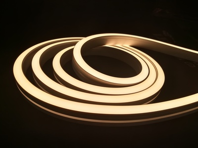 12x20mm霓虹灯带 (2)